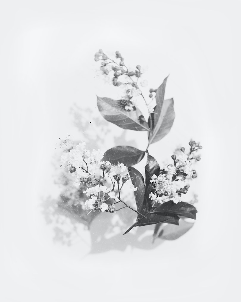 evie-s-JY_rSd-Kb1o-unsplash